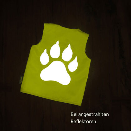 WildeWeste für Winzlinge »EisLöwe«