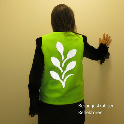 WildeWeste für Erwachsene »Flamenco green«